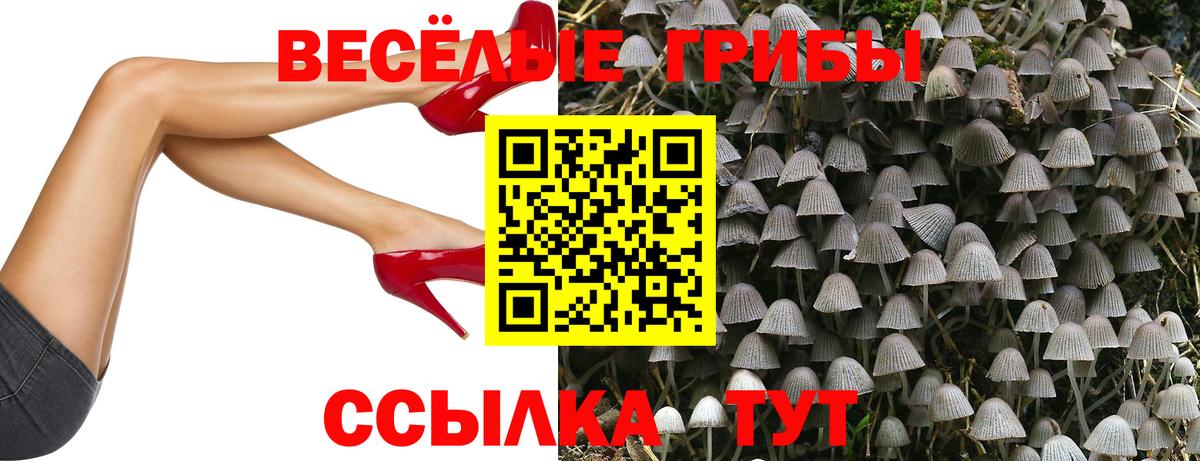 Печора  Псилоцибиновые грибы Magic Shrooms  где продают наркотики  Вход с VPN 
