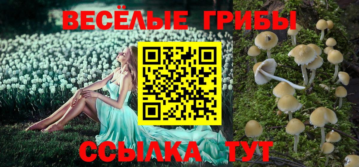 Псилоцибиновые грибы ЛСД Печора